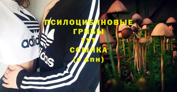 mdma Пересвет